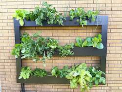 Small My Greens Grow Wall (21 plant spots)