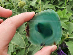 Green Agate Slice