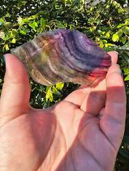 Rainbow Fluorite Slice #6