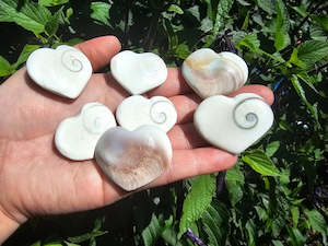 Shiva Shell Hearts