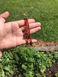 Jewellery: Amber Bracelet - Adult