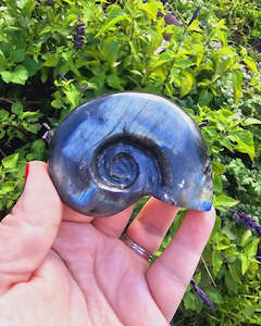 Labradorite Shell Carving