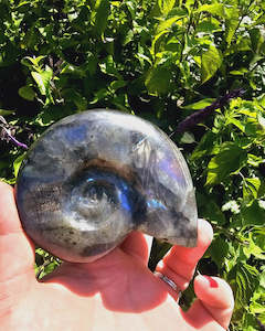 Labradorite Shell Carving #2