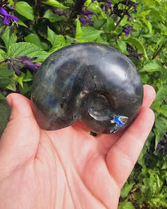 Labradorite Shell Carving