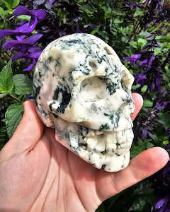 Tree Agate Skull