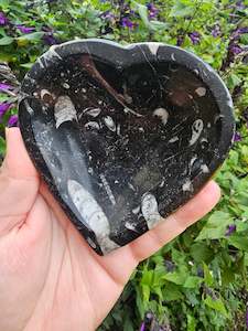 Orthoceras Fossil Heart Bowl #2