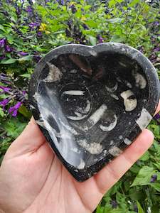 Jewellery: Orthoceras Fossil Heart Bowl #1