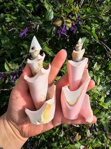 Unique Pink Shell Cast Small