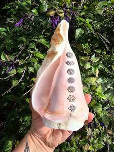 Jewellery: Unique Pink Shell Cast