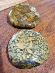 Petrified Wood Flat Stones