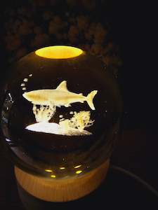 Glass Etched Sphere - Shark