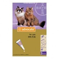 Advocate cat >4kg 3 pack