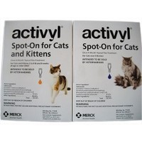 Flea Control - CAT My Vet - New Zealand's Largest Pet Pharmacy: Activyl cat small 0-4kg 4-pk