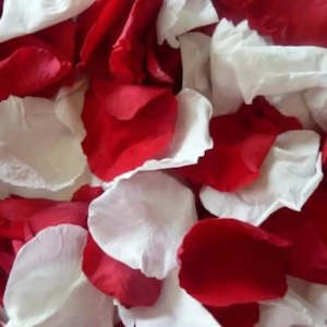 Freeze Dried Rose Petals - Red Romance & Marshmallow White Blend