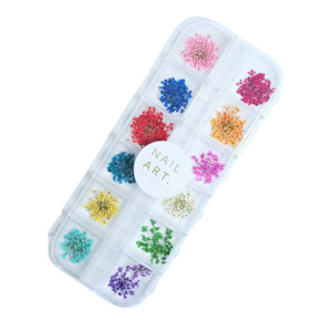 Manicure: Dried Flower Case