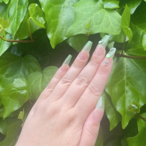 Products: Press On Nails - Nude/Green Ombre with accent nails