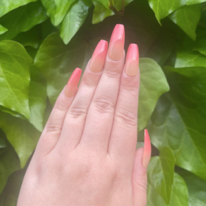 Press On Nails - Nude to Pink Ombre