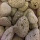 Pumice - Medium 3 Piece Packs