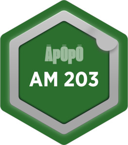 AM 203 – Lifecycle Planning