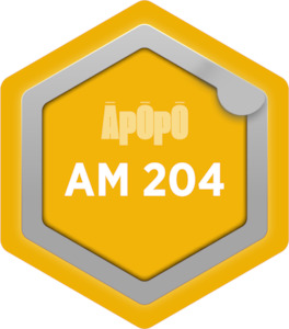 AM 204 – Asset Management Enablers