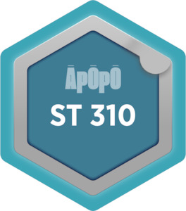 ST 310 – ISO 55000 Asset Management Standards