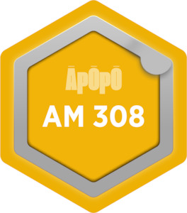 AM 308 – Improving Asset Management Maturity