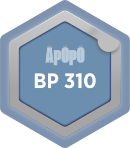 BP 310 – Building and Property Portfolios