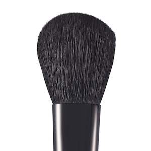 Cheek Brush Ch2