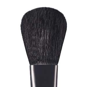 Cheek Brush Ch3