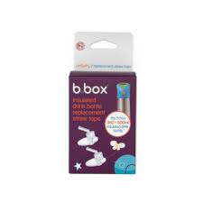 BBox - Insulated Drink Bottle Replacement Straw Tops 2pk