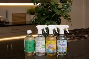 Bundle Packs: The Perfect Cleaning Bundle