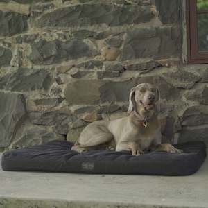 canvas dog bed: Original Canvas Dog Bed