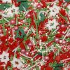 Natural Edible Christmas Sprinkle Mix – Christmas Carols 100gm bag – Natural…