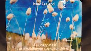 Hobby equipment and supply: NZ Grass Wildflower Fridge Magnets