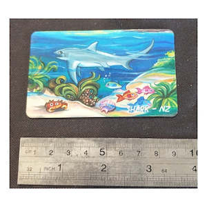 Hobby equipment and supply: NZ Wildlife Fridge Magnets:Shark