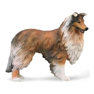 Hobby equipment and supply: Rough Collie L