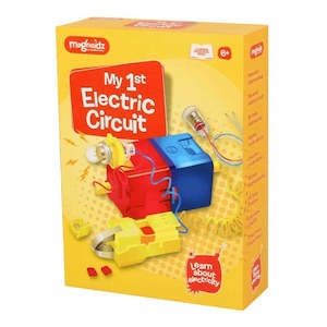 Hobby equipment and supply: My First Electrical Circuit Kit