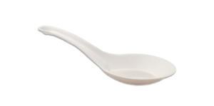 Sugarcane Cutlery - Spoon