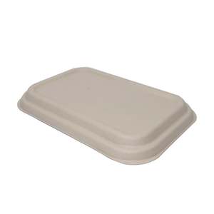 Paper product manufacturing: Sugarcane Lunch Box Lid