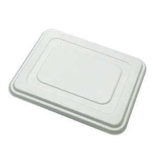 Paper product manufacturing: 5 Comp Sugarcane Tray Lid - White