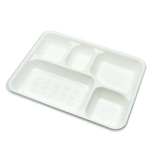 Paper product manufacturing: 5 Comp Sugarcane Tray