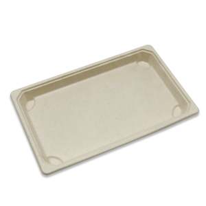 Paper product manufacturing: Large Sugarcane Sushi Tray