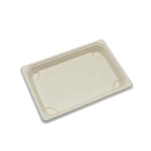 Paper product manufacturing: Small Sugarcane Sushi Tray