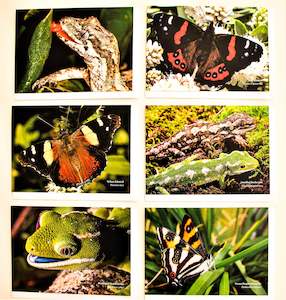 Nature Greeting Cards