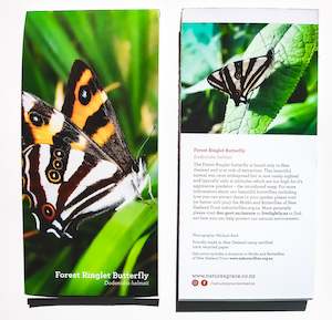 Forest Ringlet Butterfly Notepad