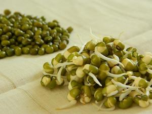 Internet only: Mung Bean (ORGANIC)  1kg