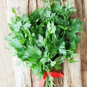 Parsley (Italian) seeds $3.50