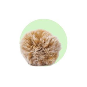 Pom Pom