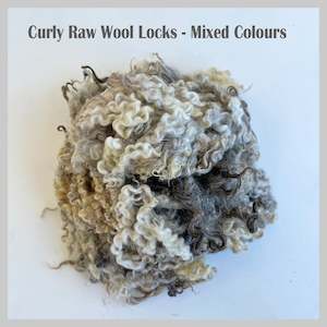 Wool Locks - Natural colour curly wool locks