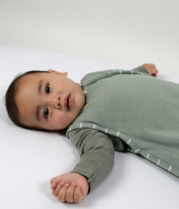 Babu: Babu Merino Sleeping Bag 3 Seasons (3 Mth - 2yrs)